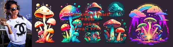 амф Инта