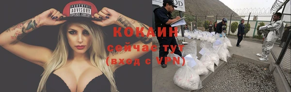амф Инта