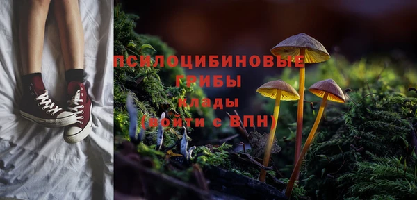 гидра Иннополис