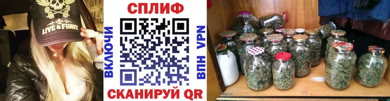 Купить закладки  Ветлуга  Шишки марихуана марихуана 